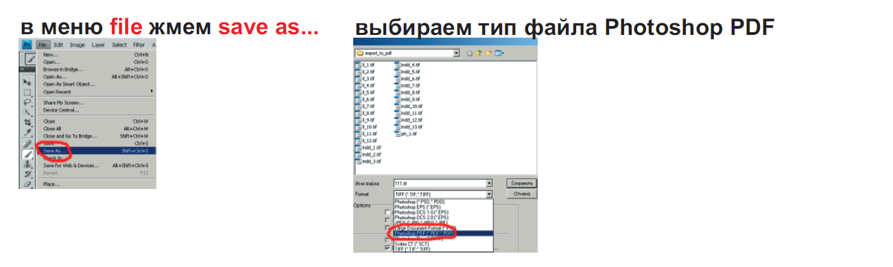 Экспорт в pdf